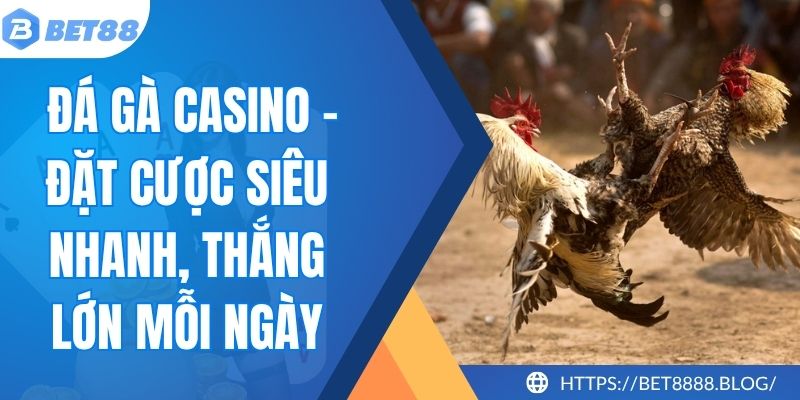 Đá Gà Casino - Đặt Cược Siêu Nhanh, Thắng Lớn Mỗi Ngày