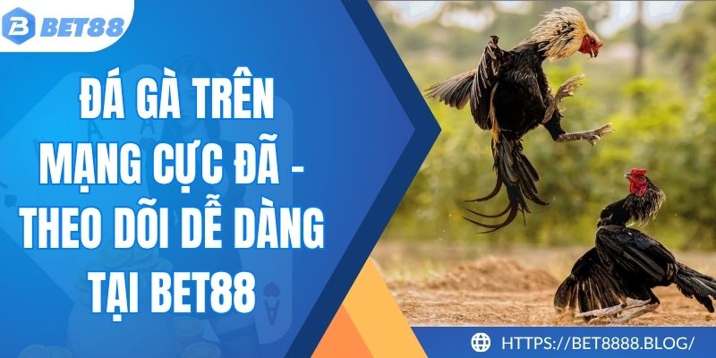 Đá Gà Trên Mạng Cực Đã - Theo Dõi Dễ Dàng Tại Bet88