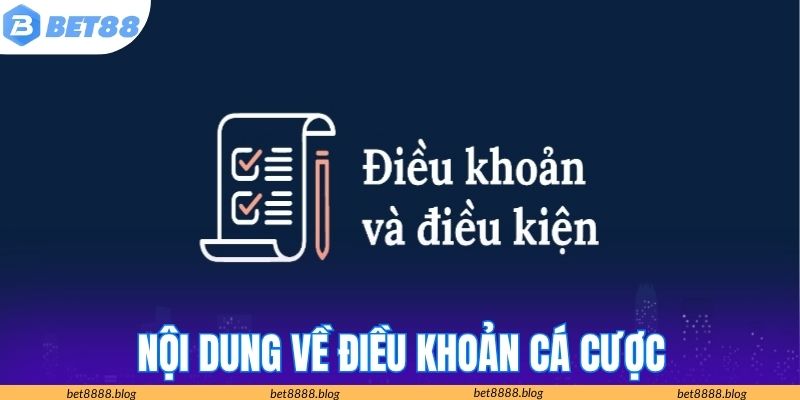 Nội dung về điều khoản rất quan trọng khi cá cược