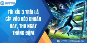 Tài Xỉu 3 Trái Là Gì? Vào Kèo Chuẩn Hay, Thu Ngay Thắng Đậm